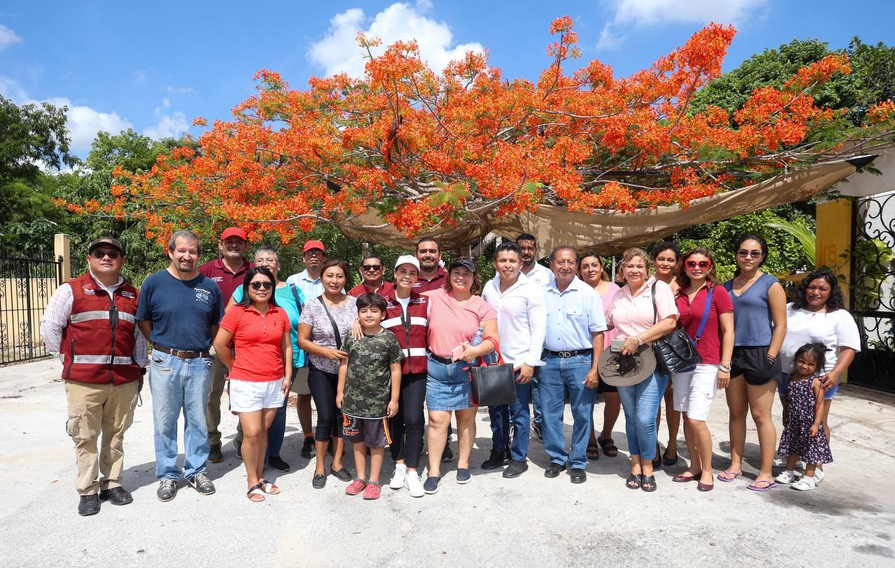 uploads/6/32/01 (254).Jpeg